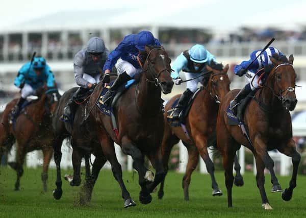 James Doyle (all dark blue) rides Blue Point to win The Kings Stand Stakes at Royal Ascot. Picture: Charlie Crowhurst/Getty