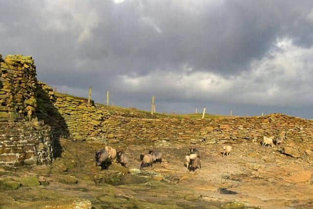 The sheep dyke is a Grade A listed structure but it under constant attack from bad weather. PIC: The Orkney Sheep Foundation.