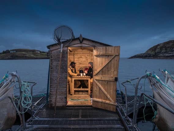 Optimal transport logistics require salmon farm workers, such as these at Mallaig, to harvest the fish at night.