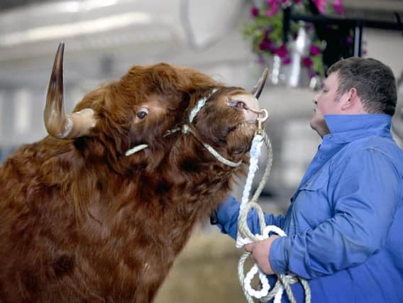 A new group to support Scotland's rural economy met for the first time at the Royal Highland Show today.