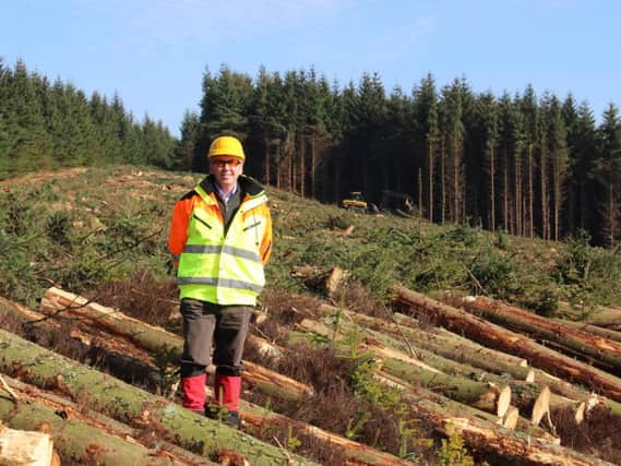 Ralland Browne, MD of Scottish Woodlands, at a harvesting site near Jedburgh in the Scottish Borders. Picture: Contributed