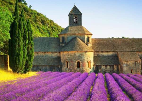 Demand for products made from lavender, such as that seen in this field in France, is increasing.