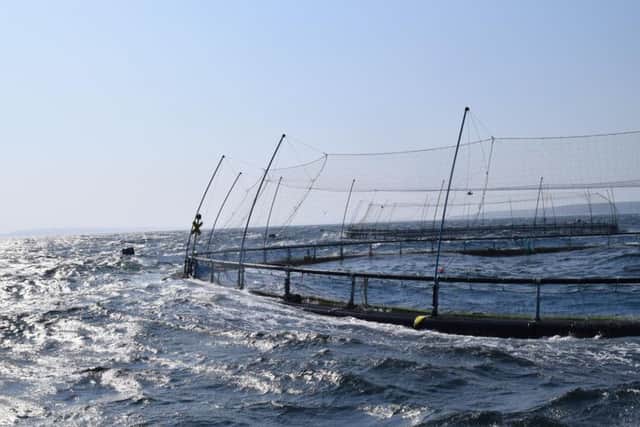 The new monitoring tool could benefit sites which are currently hard to analyse, including high energy waters such as these at Skelwick, Orkney. Picture: Contributed