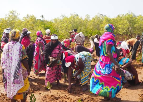 One of the funders of the project is the Leonardo DiCaprio foundation.