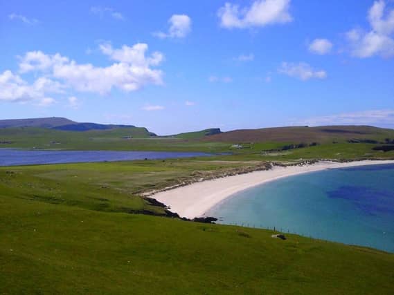 Shetland used to be covered in woodland, but its native trees disappeared around 5,000 years ago. Now a new trial has produced a nut from one of its last surviving hazel trees. PIC: Flickr/Creative Commons/Karen Bryan.