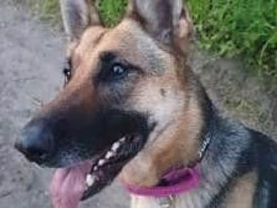 PD Tora, who has had her work highlighted by officers. Picture: Police Scotland