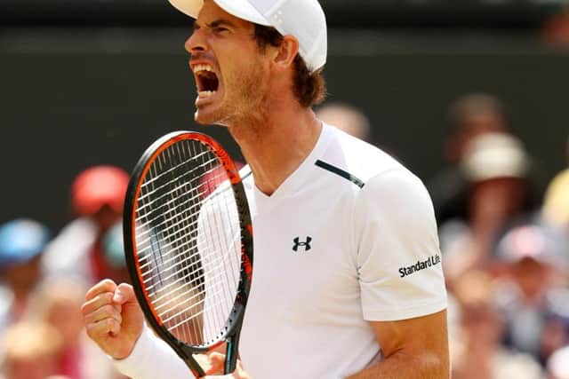 Test your knowledge of Andy Murray. Picture: Michael Steele/Getty Images.
