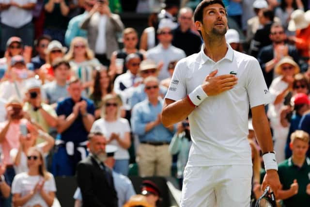 Novak Djokovic celebrates after beating Philipp Kohlschreiber