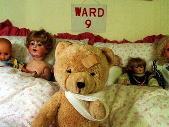 A teddy after it was treated.