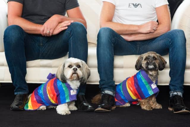 Coco and Gucci model the new rainbow-coloured dog drying jackets from Dogrobes. Picture: Contributed