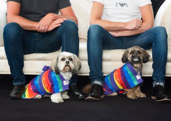 Coco and Gucci model the new rainbow-coloured dog drying jackets from Dogrobes. Picture: Contributed