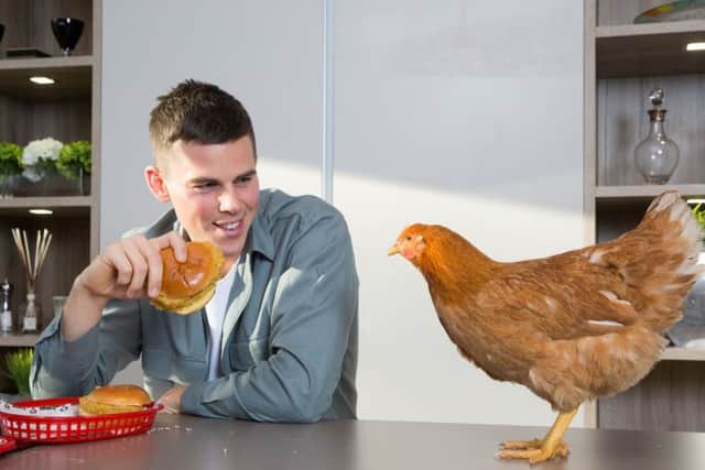 Daring Foods founder Ross Mackay with ambassador Kim Kardashi-hen. Picture: Contributed