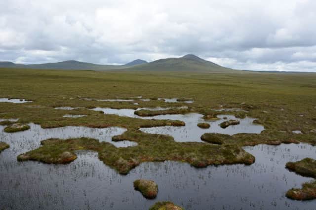 The Flow Country in Caithness and Sutherland is around 1,500 square miles of 10m deep peat and boggy pools