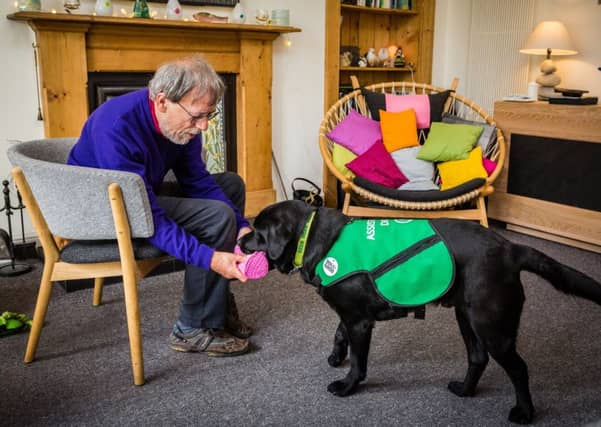 Specially trained dogs have been used to help people living with dementia