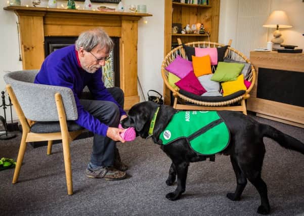 Specially trained dogs have been used to help people living with dementia