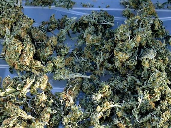 The findings show that 24 per centof those questioned think those who have been prescribed the drug should be given the green light to grow their own cannabis plants.