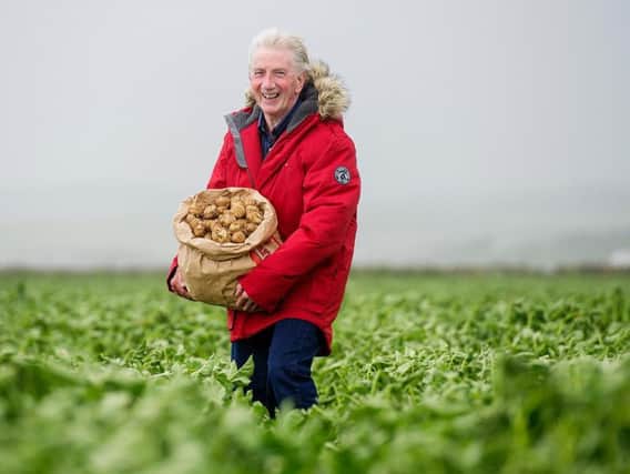 Kent-based Jamie McCoo will no longer need to travel1,000 miles to get his beloved Ayrshire potatoes. Picture: Peter Sandground