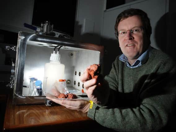 Professor Charles Cockell, University of Edinburgh.
