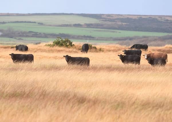 Most people think of farms as looking something like this. But agricultural subsidies also go to country estates (Picture: John Devlin)