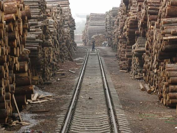 A man walks between piles of timber at a lumber market in Shenyang in northeast China's Liaoning province. Picture: AP