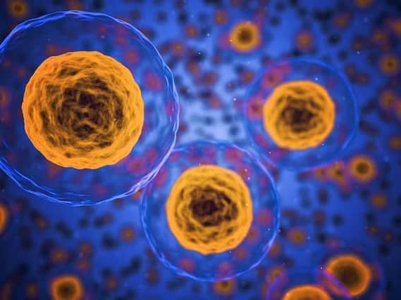 Cells in the human body