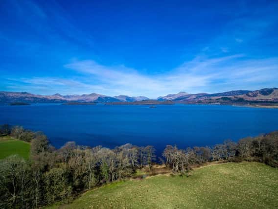 Creinch Island on Loch Lomond is on the market - with the island touted as the perfect getaway for nature lovers. PIC: Savills.