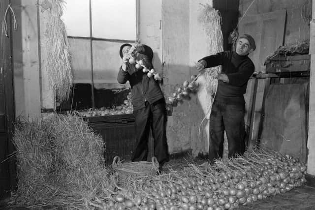 Onions typically arrived from France by boat and then stored by the docks, with this warehouse at  Admiralty St, Leith, photographed in 1962.