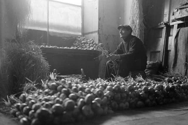 The first reference to Onion Johnnies working in Britain was in 1820 and in Scotland it is known they worked door-to-door until at least the 1980s.