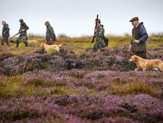 A shooting party sets out on Forneth Moor
