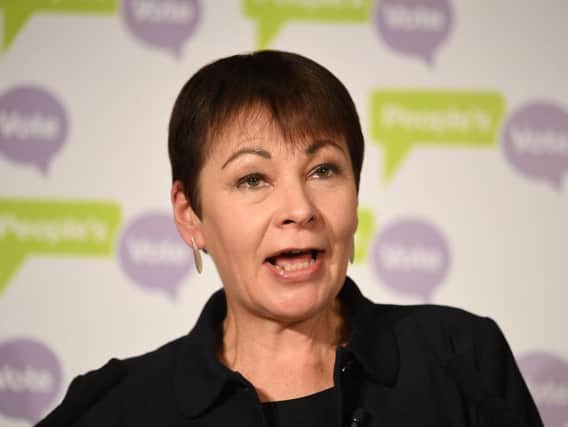 The apology comes after the former Green Party leader wrote to 10 other female politicians opposed to a no-deal break with the EU, inviting them to form an "emergency cabinet".