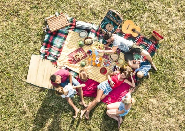 A family enjoying a picnic barbecue party