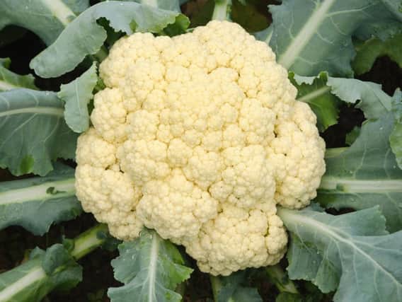 There are cauliflower shortages across the UK