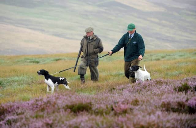 GLORIOUS 12TH PREVIEW PHOTOCALL , GROUSE SHOOTING Horseupcleugh, Berwickshire.   ESTATE OWNED BY Robbie Douglas Miller FORMERLY OF JENNERS.     Ian Elliot - Grouse Keeper at Horseupcleugh , pictured with a gun and pointing dogs , on the grouse shoot.  posing with a gun.  , PICTURED WITH ADAM SMITH - WITH POINTING DOGS ,  HE IS THE , GWCT Policy Officer      PHOTO PHIL WILKINSON / TSPL