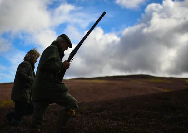 Managed shooting estates can exist side-by-side with schemes to let nature repopulate the Scottish landscape. Picture:  Jeff J Mitchell/Getty Images