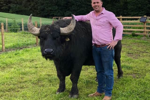Steve Mitchell of The Buffalo Farm is hoping to raise 800,000 to produce his first mozzarella. Picture: contributed