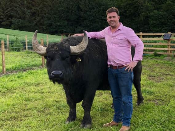Steve Mitchell of The Buffalo Farm is hoping to raise 800,000 to produce his first mozzarella. Picture: contributed