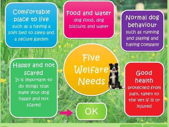 Computer game designed by Scottish SPCA and University of Edinburgh aims to teach primary pupils how to care for animals.