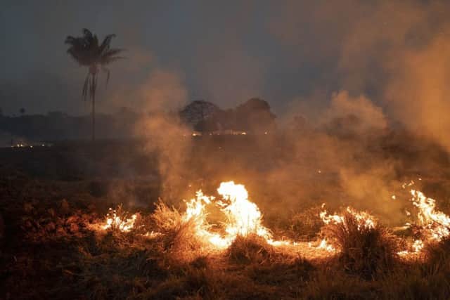 A fire burns a field on a farm in the Nova Santa Helena municipality, in the state of Mato Grosso, Brazil, Friday, August 23, 2019. Picture: AP