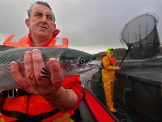 Farmed salmon is Scotland's biggest food export, worth 1 billion a year, but the industry has come under increasing pressure over fish health and environmental impacts