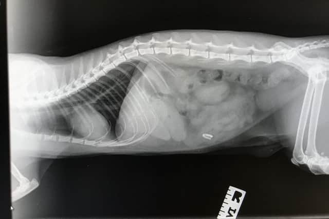 An x-ray showing the dangerous clip. Picture: PA