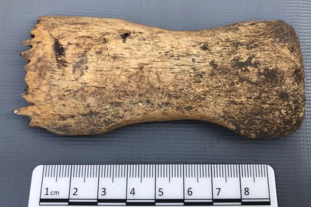 The bone weaving comb, one of the key finds made during the 2019 excavation of the Swandro site. PIC: University of Bradford.
