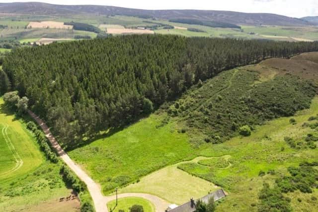 The estate grounds include extensive woodland.