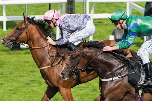 Musselburgh Racecourse. Picture: Contributed.