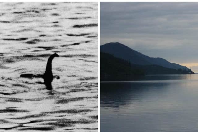 Scientists have today revealed the Loch Ness Monster could be a giant eel.