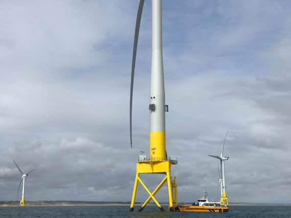 Radar-controlled cameras have been installed at the European Offshore Wind Deployment Centre in Aberdeen Bay to discover how seabirds interact with offshore turbines