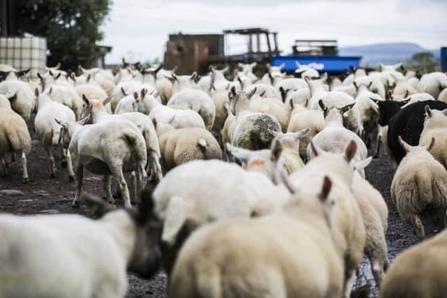 A combination of heavy machinery, exhausted farmers, weather, isolation and financial ressures can lead to potentially fatal mistakes. Picture: Craig Stephen