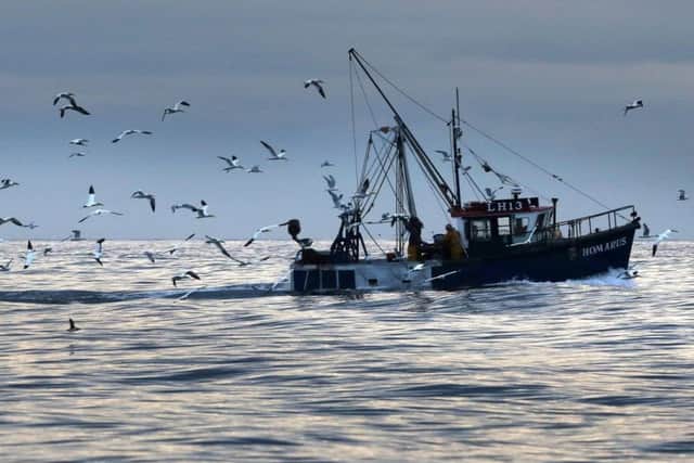 Elspeth Macdonald said remaining under EU fishing rules for any longer would be intolerable for the industry. Picture: Getty Images