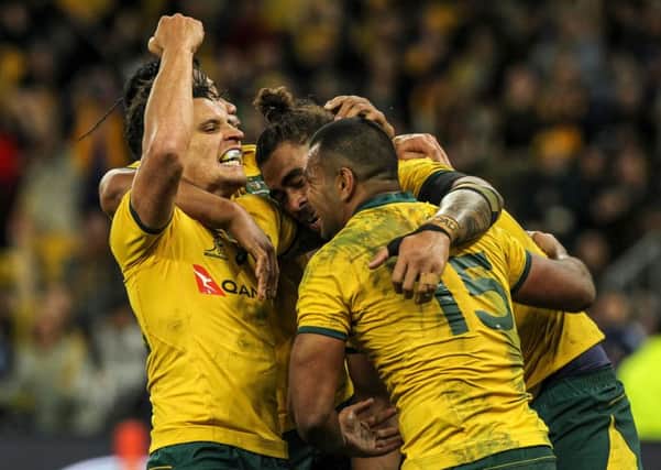 Australia achieved a landmark win against New Zealand in the Bledisloe Cup. Picture: Tony Ashby/AFP/Getty Images