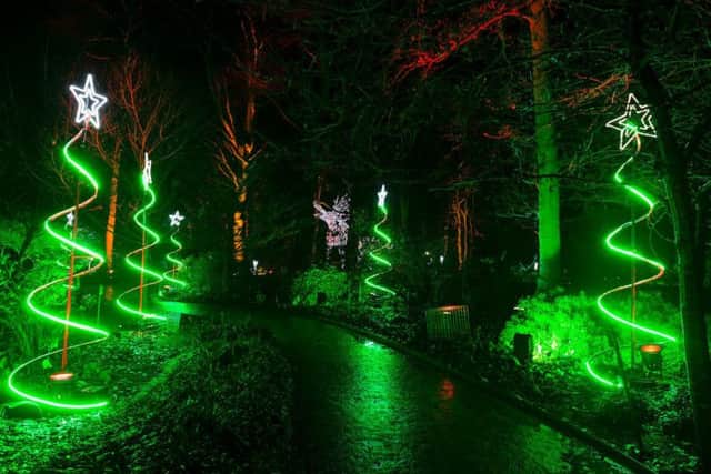 Neon Spiral Trees
