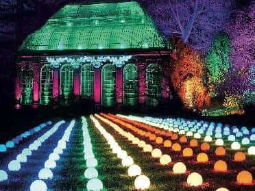 Christmas At The Botanics